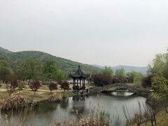 -石塘人家