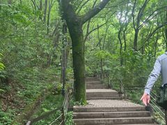 -苏州上方山国家森林公园