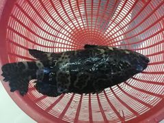 -鑫鸿达·海鲜闽菜热炒小馆(中山路店)