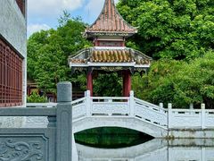 -顺峰山公园