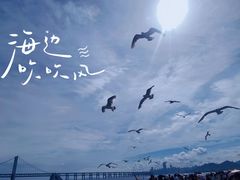 -星海广场