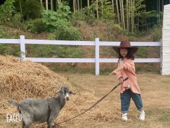 -莫奈庄园·儿童摄影馆·影视基地(江宁店)