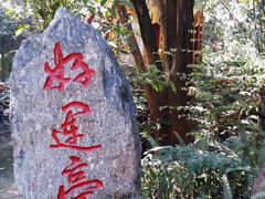 -瑞丽独树成林风景区