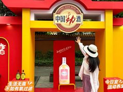 -铁像寺水街