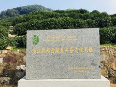 -龙井村