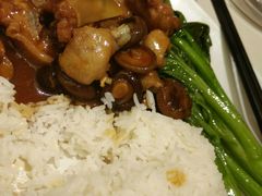香菇焖土鸡饭-金利茶餐厅(中船汇店)