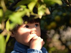 -上海滨江森林公园·停车场