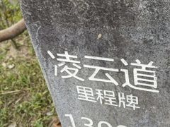 -梧桐山风景名胜区