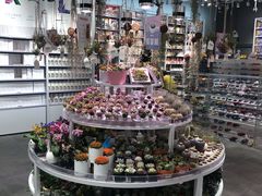 -KKV(深圳kk one 店)
