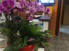 -静茗轩茶楼