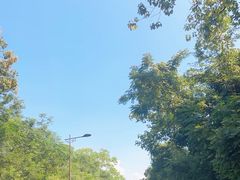 -池州市平天湖风景区
