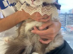 -怪兽屋·羊驼·猫咖·狗咖(俊华广场店)