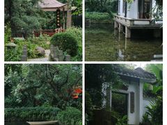 -广州兰圃