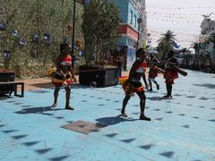 -芜湖新华联大白鲸海洋公园