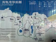 -广东惠东海龟国家级自然保护区