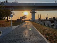 -宝安西湾红树林湿地公园