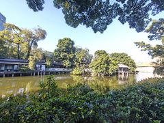 -荔湾湖公园