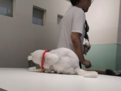 -怪兽屋·羊驼·猫咖·狗咖(俊华广场店)