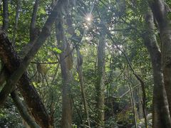 -七仙岭温泉国家森林公园