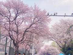 -吉林大学(南岭校区)