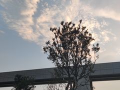 -深圳大学(丽湖校区)