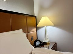 -上海波特曼丽思卡尔顿酒店