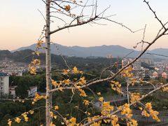 -梅峰山地公园