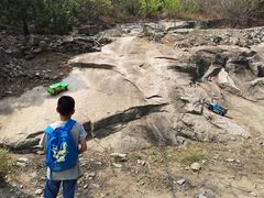 -白水寺森林公园