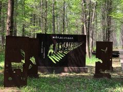 -黄海国家森林公园