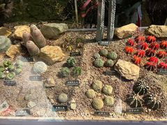 -中国科学院西双版纳热带植物园