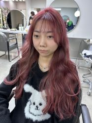 -蚂蚁造型沙龙