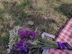 -仙海旅游度假区