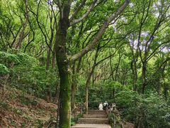 -苏州上方山国家森林公园