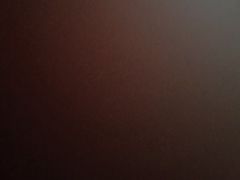 -巢爷老味(东方红店)