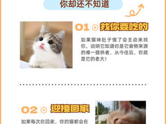 -唐小姐の猫狗洗护·购宠旗舰店(周浦万达店)