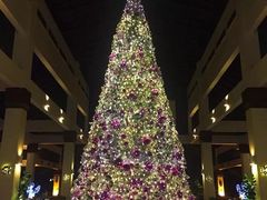 -麦哲伦丝绸度假村