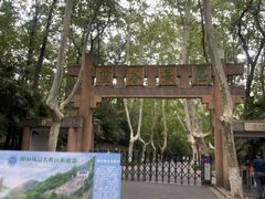 -灵谷景区