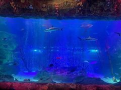 -沈阳海洋探索中心