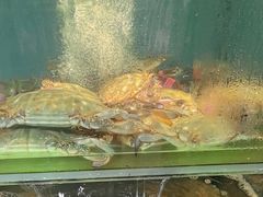 -海味当家·蒸锅海鲜(星海公园店)