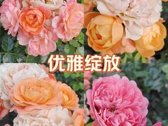 -海德公园