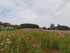-嘉北郊野公园