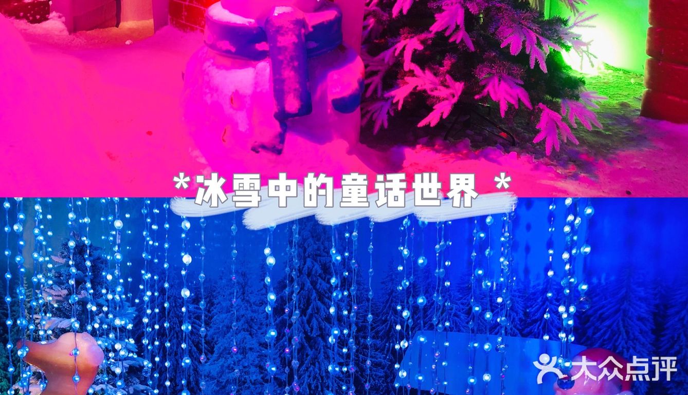 🐬🐬夏日遛娃好去处～青岛海昌极地海洋公园