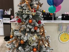 -舞蕾舞蹈(特长生校区)