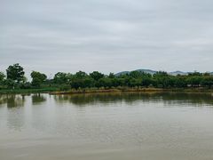 -漩门湾国家湿地公园