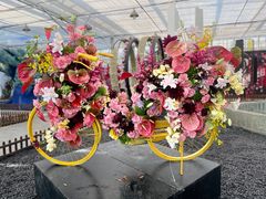 -上海鲜花港