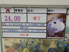 -欧尚超市苏州店停车场(金鸡湖路店)