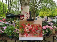 -上海共青森林公园