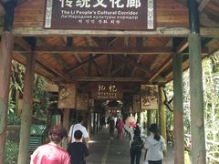 -海南槟榔谷黎苗文化旅游区