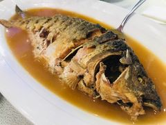 红烧黄河大鲤鱼-阿庄新豫菜(航海东路店)