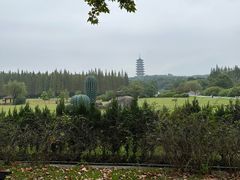 -宜兴龙背山森林公园